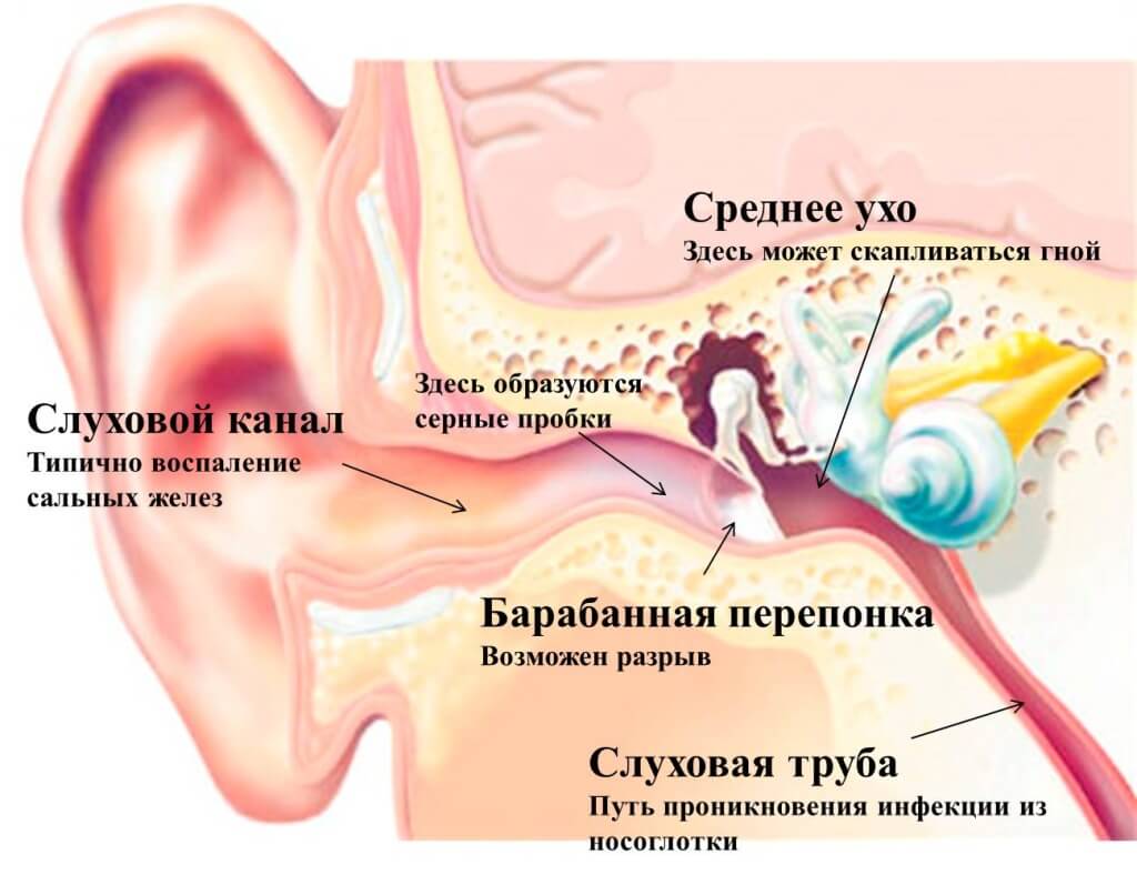 Слухова труба середнього вуха